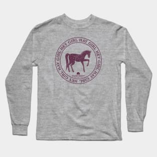 Hey Girl Hay Girl Barn Shirt USA Long Sleeve T-Shirt